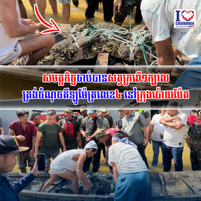 សមត្តកិច្ចចាប់បានសត្វក្រពើ១ក្បាល_ត្រង់ចំណុចគីឡូម៉ែត្រលេខ៤_នៅក្រុងប៉ោយប៉ែត    
