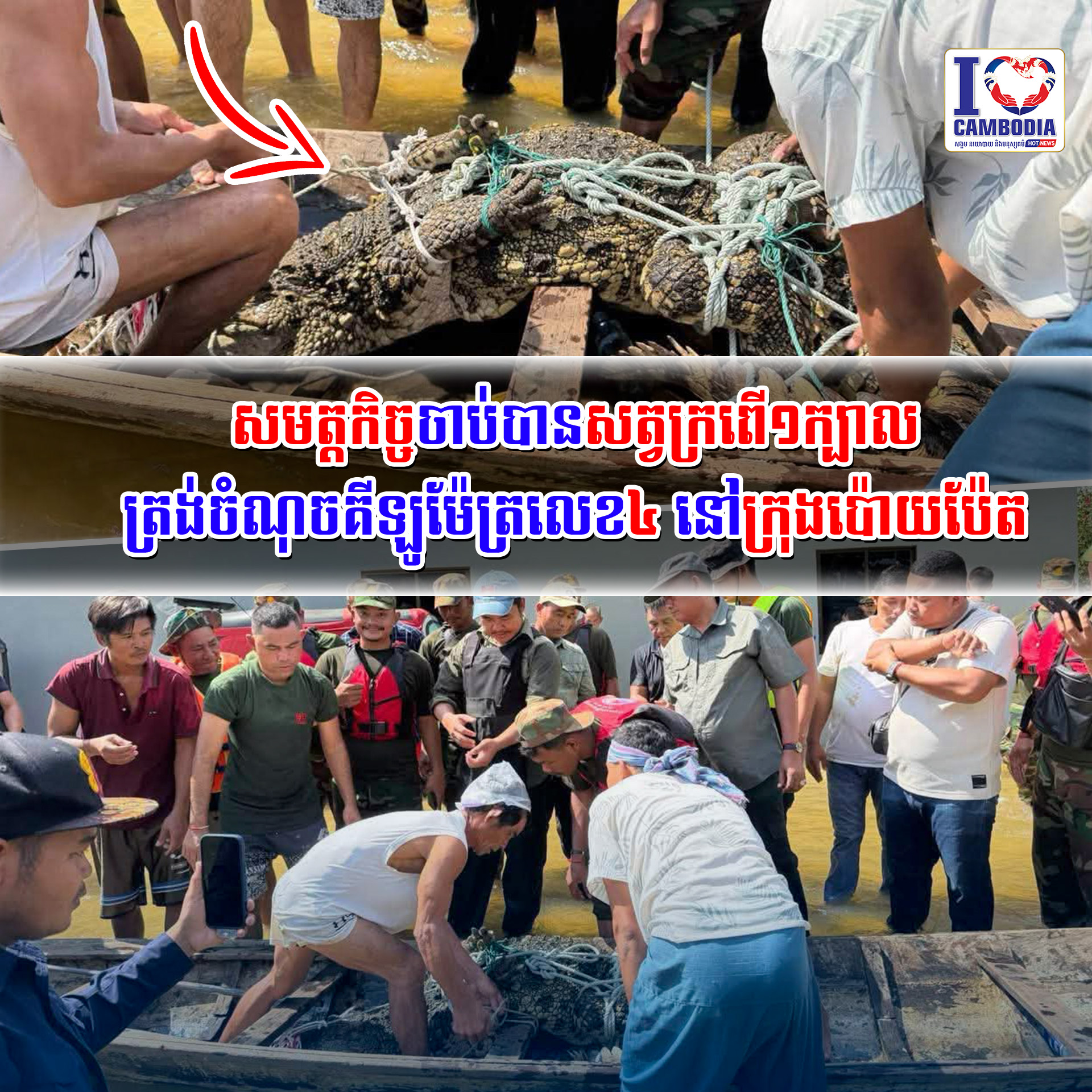 សមត្តកិច្ចចាប់បានសត្វក្រពើ១ក្បាល_ត្រង់ចំណុចគីឡូម៉ែត្រលេខ៤_នៅក្រុងប៉ោយប៉ែត    